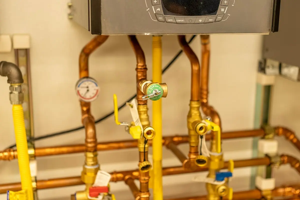 Licensed technician providing Sewer Cleanout for a homeowner in Palatine